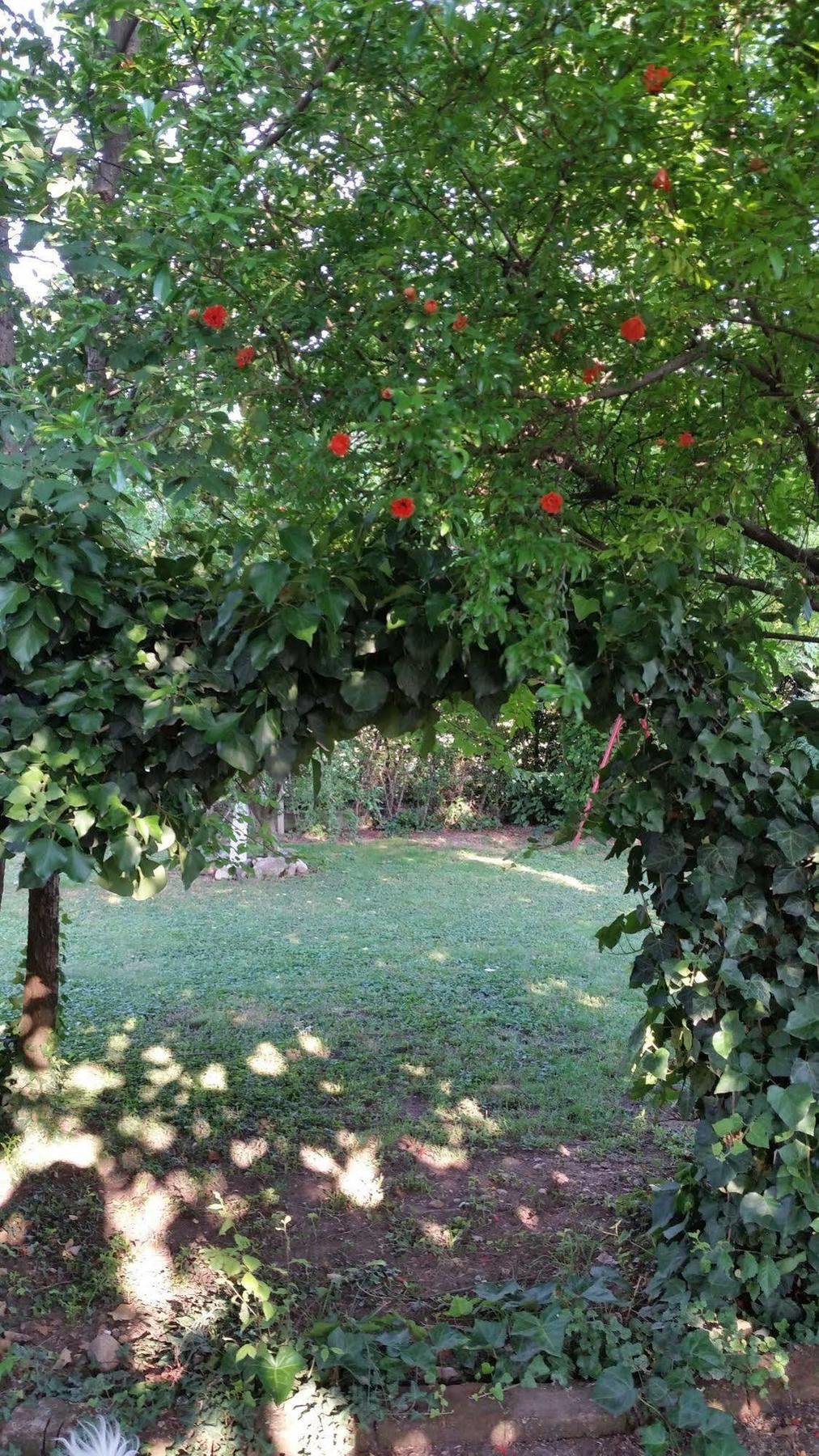 La Cascina Di Alice Bed and Breakfast Castiglione Delle Stiviere Exterior foto